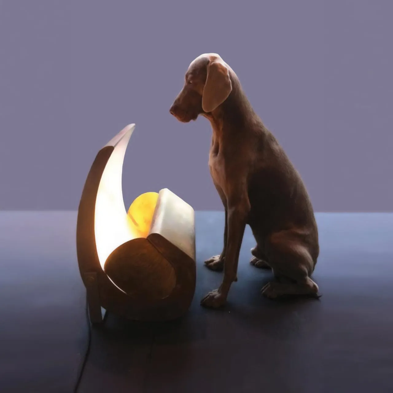 ESCARGOT Floor Lamp